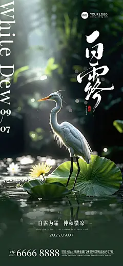 白露节气祝福实景感全屏竖版海报AIGC