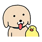 黄色小狗表情包