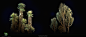 Diablo IV: Vessel of Hatred Biome of Nahantu