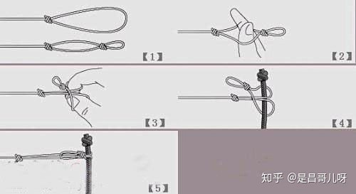 初学钓鱼入门攻略，超详细