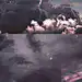 采集图片
