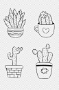 简单盆栽线描画植物仙人掌线稿