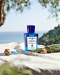 Acqua di Parma Cipresso di Toscana Eau de Toilette Perfume