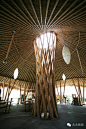 这是一个完全由竹子Bamboo建造的学校，完全到令人吃惊。因为你几乎看不到竹子以外的材料。据称学校的创建人是个“竹”的爱好者，一个建筑设计师（注意，不是教育学家），他坚信竹子是这个世界上最美的建筑材料、生产快、操作便捷、可环保利用，无与伦比。他希望在竹子随地乱长动辄长出几十厘米直径的巴厘岛打造一个学校，一整个竹子的学校。竹子的围墙、桌、椅、校舍、宿舍，全部。