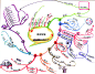 教你成为学习语言的高手的手工绘图-思维导图学习社区 - Mindmap #采集大赛#