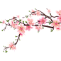 4323904641.png