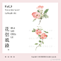 花信风录的照片 - 微相册
