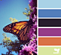 Creature Color Archives | Page 6 of 6 | Design Seeds