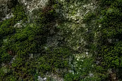 岩石和苔藓的纹理和背景。长满青苔的石头背景。抽象的纹理和背景为设计师。长满青苔的石头纹理。苔藓和岩石
