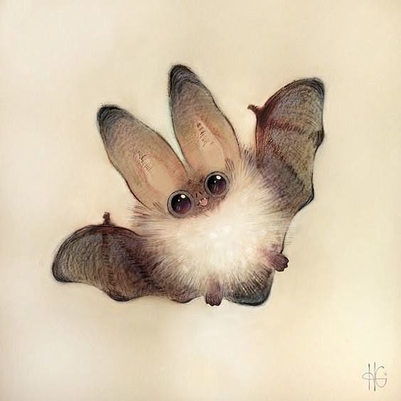 艺术通过Heather Gross *•...