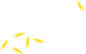 树叶 黄色  元素  png