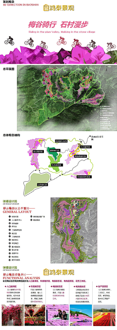 DorainN采集到分析