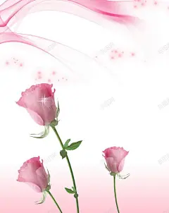 玫瑰花束高清素材 图片素材 大自然 底纹背景 插画背景 植物 玫瑰 玫瑰花束 玫瑰花束图片 玫瑰花束图片素材下载 背景花边 艺术插画 花 花主题封面素材 花主题背景素材 花朵 花朵图片 花朵背景 花瓣 花纹 背景底图 背景 设计图片 免费下载 页面网页 平面电商 创意素材