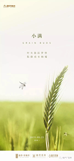 青芒0915采集到小满