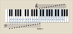 NOAHXXX采集到music