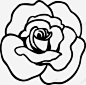 玫瑰花手绘图图标 UI图标 设计图片 免费下载 页面网页 平面电商 创意素材