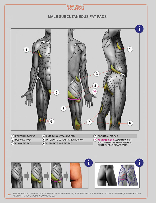 anatomy for sculptor...