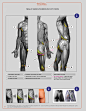 anatomy for sculptors-57