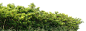 JZ_206