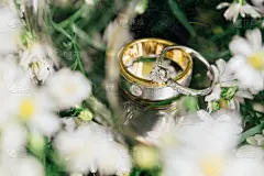 植物,钻石,伴侣,玻璃,公亩,结婚戒指,自然,华丽的,丈夫,贺卡