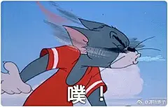 自截猫和老鼠表情包~哈哈哈来发一波 ​​​​