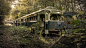 General 1920x1080 nature trees leaves vehicle tram railway rail yard forest branch wreck old abandoned broken rust ruins