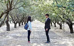 《继承者们》韩剧李敏镐朴信惠壁纸