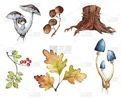 收藏秋林水彩插画。手绘蘑菇，树叶和树桩。秋季植物组