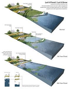 Terraced landforms s...