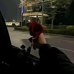 无爱方可破情局。