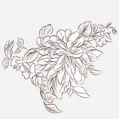 手绘植物花草手绘线条花线稿图片大小2000x2000px 图片尺寸1.47 MB 来自PNG搜索网 pngss.com 免费免扣png素材下载！花草#花草树木#花朵#花朵线稿#花花草草#花卉#卡通手绘#手绘风格#手绘花#手绘花卉#手绘植物#叶子#植物#
