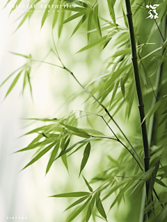 多多洛^^采集到背景