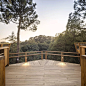 穿梭丛林间，葡萄牙架空步道   Carlos Castanheira Architects – mooool木藕设计网_4083836798_5754539325
