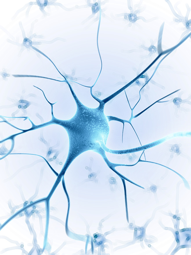 1 神经元  智能  生物科技