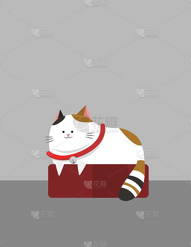 白色的肥猫戴着红色的领子坐在垫子上。