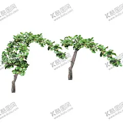 绿色植物 【酷图网】绿色植物,热带树叶,小清新树叶,植物背景,背景简约,植物树叶,竹排,竹栏杆,电视背景墙,背景墙,装修,背景墙效果图,室内背景墙,效果图,免扣,壁画,装饰画,现代,壁纸,墙纸,沙发背景墙,砖墙,墙面,绿色,藤蔓,蔷薇,玫瑰,蝴蝶,树叶,边框