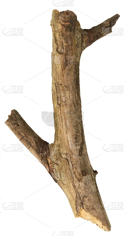 棍,自然,垂直画幅,木制,无人,古老的,嫩枝,干的,背景分离,坏掉的图片_素材图片素材-花瓣网
