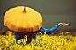 Yellow umbrella: 