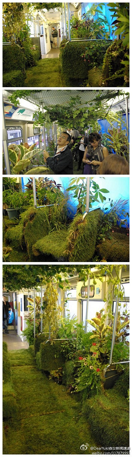 【芝加哥地铁列车上的移动花园】每一个塑料...