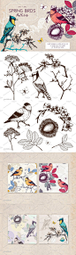 手工绘制的春季鸟类图案纹理 Hand Drawn Spring Birds Patterns_背景底纹_乐分享素材网_psd素材_平面素材_png素材_免费素材_素材共享平台