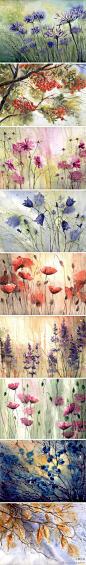 画片集：水彩花绘，每一朵斗都拥有独一无二的线条美。作者：波兰女画家Malgorzata Szczecinska。