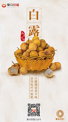 掌众ZDC采集到节气海报