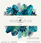 Trendy Summer Tropical Leaves Vector Design - 站酷海洛正版图片, 视频, 音乐素材交易平台 - Shutterstock中国独家合作伙伴 - 站酷旗下品牌