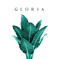 GLORIA BOTANIC on Behance