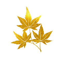 花枝小兽采集到传统纹理