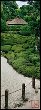 ♂ Green garden "Konpuku-Ji / 金福寺" (C-137)in Kyoto, Japan #garden #green #temple #Japan