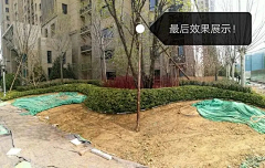 若楠（盼）采集到绿篱施工工艺