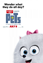 Extra Large Movie Poster Image for The Secret Life of Pets (#15 of 18)