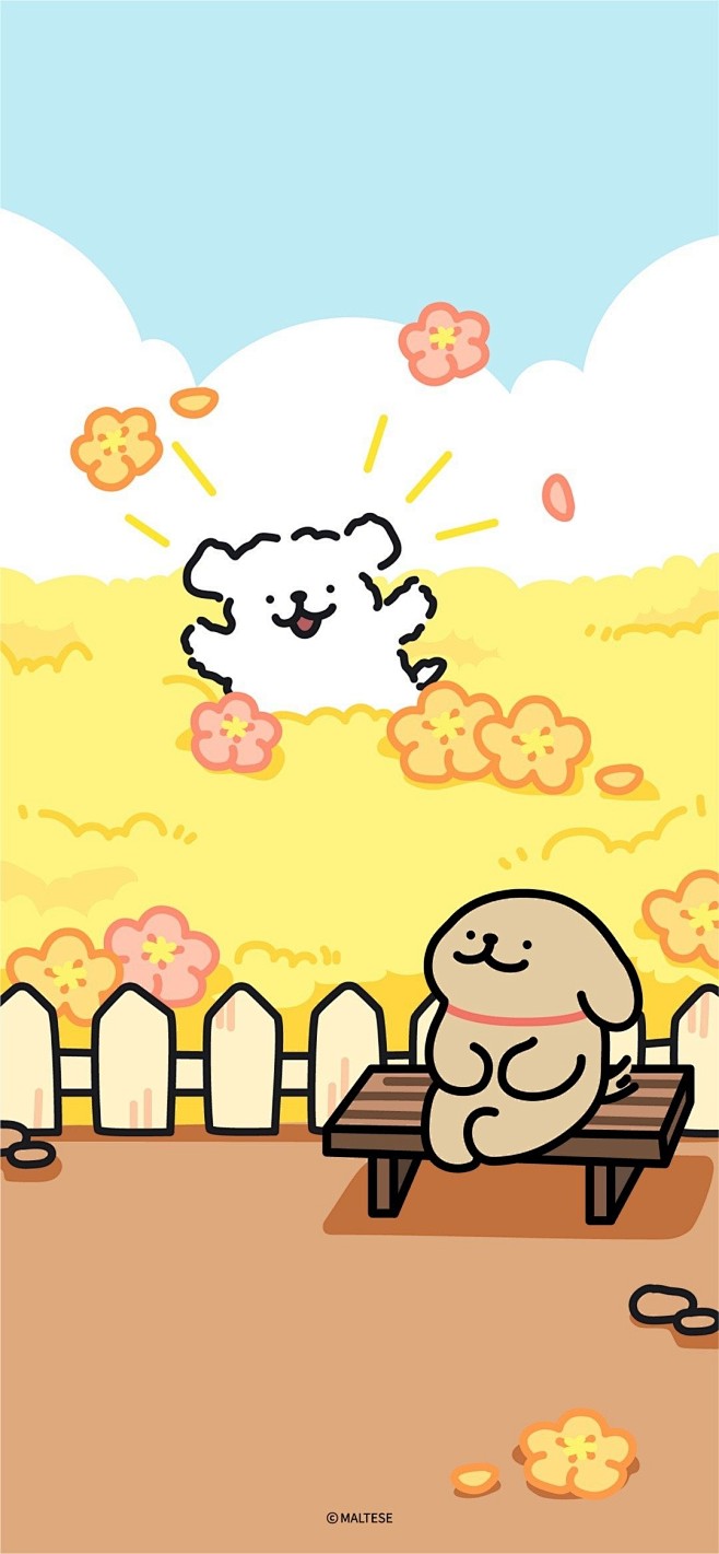 @线条小狗Maltese 的个人主页 -...