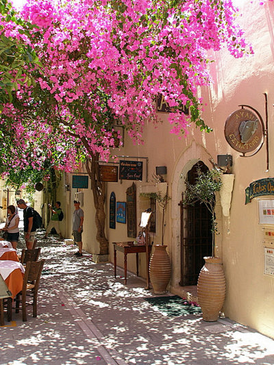 街上葡萄树开花，雷斯蒙，希腊